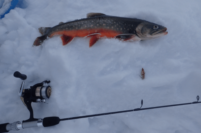 Bildschirmfoto 2017-12-12 um 10.04.14