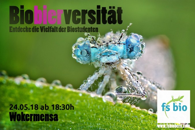 WhatsApp Image 2018-05-22 at 22.40.42.jpeg